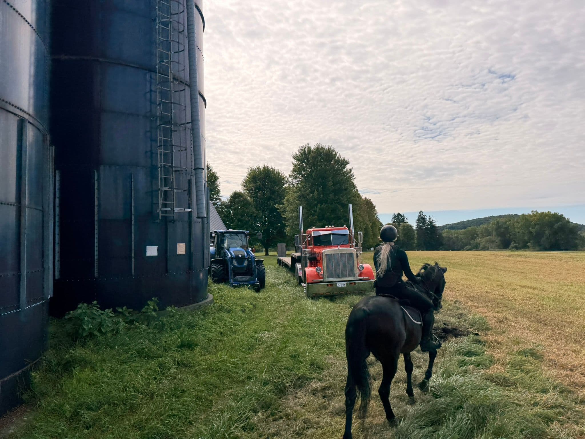Goldens Bridge Hounds North Country Hunter Pace Review